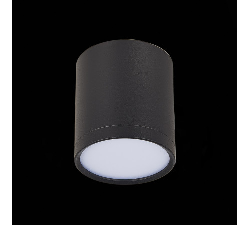 Потолочный светильник ST Luce Rene ST113.432.05 Потолочный светильник ST Luce Rene ST113.432.05