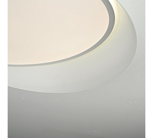 Потолочный светильник ImperiumLoft Shell 102036-26 Потолочный светильник ImperiumLoft Shell 102036-26