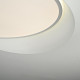 Потолочный светильник ImperiumLoft Shell 102036-26