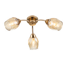 Потолочный светильник Escada Allium 663/3P