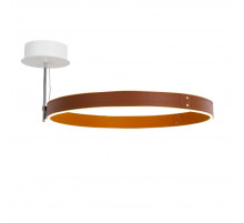 Потолочный светильник DeLight Collection MX18001059-1M coffee/black