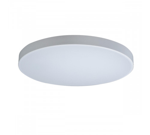 Потолочный светильник Loft IT AXEL 10002/48 White Потолочный светильник Loft IT AXEL 10002/48 White