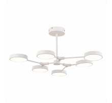 Потолочный светильник Evoluce Monta SLE6003-502-06
