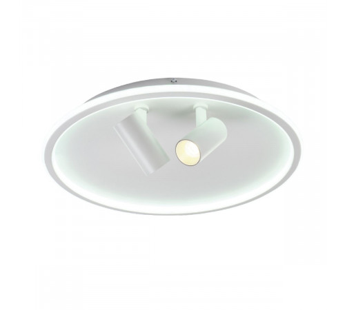 Потолочный светильник Myfar Focus MR9050-CL Потолочный светильник Myfar Focus MR9050-CL