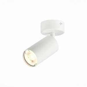 Потолочный светильник ST LUCE ST303.502.01