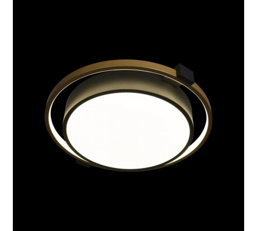 Потолочный светильник Loft IT Mike 10169 Потолочный светильник Loft IT Mike 10169