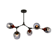 Потолочный светильник EVOLUCE CIOTOLLA SLE113402-05