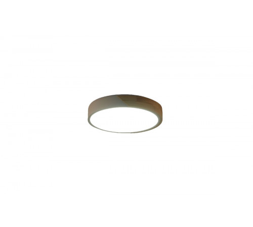 Потолочный светильник Zortes Alberro ZRS.01289.24 Потолочный светильник Zortes Alberro ZRS.01289.24