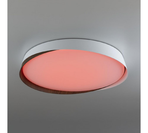 Потолочный светильник Citilux Bonny CL754450G Потолочный светильник Citilux Bonny CL754450G