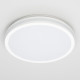 Потолочный светильник Citilux Luns CL711020V