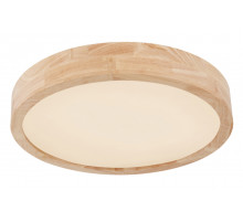 Потолочный светильник Globo Leanara 41756-24