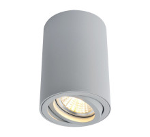 Потолочный светильник Arte Lamp A1560PL-1GY