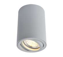 Потолочный светильник Arte Lamp A1560PL-1GY