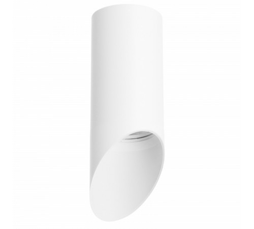 Потолочный светильник Lightstar RULLO R43636 (214436+201436) Потолочный светильник Lightstar RULLO R43636 (214436+201436)