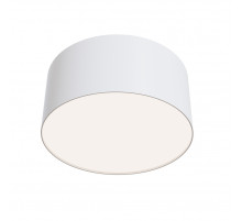 Потолочный светильник Maytoni Technical Ceiling & Wall C032CL-12W4K-RD-W