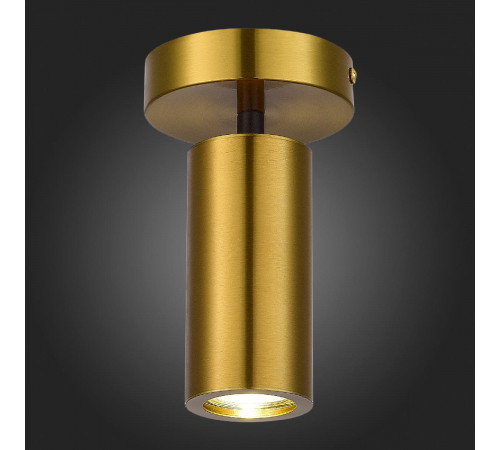 Потолочный светильник ST Luce Talia SL1215.402.01