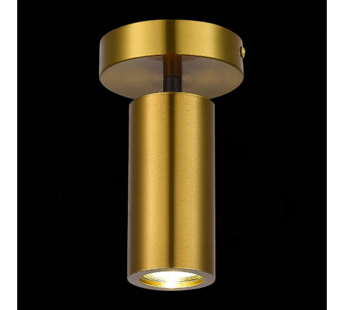 Потолочный светильник ST Luce Talia SL1215.402.01