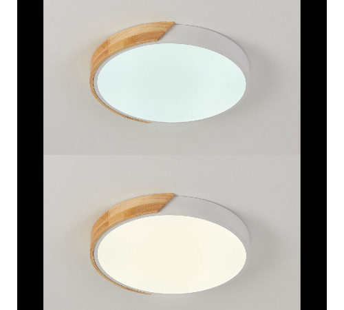 Потолочный светильник Natali Kovaltseva Scandinavian LED LAMPS 81181 Потолочный светильник Natali Kovaltseva Scandinavian LED LAMPS 81181