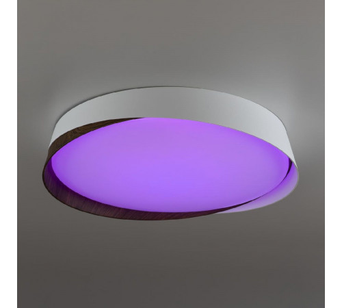 Потолочный светильник Citilux Bonny CL754350G Потолочный светильник Citilux Bonny CL754350G