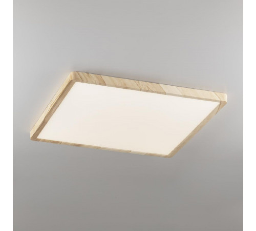 Потолочный светильник Citilux Бейсик CL738K502V