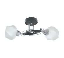 Потолочный светильник Toplight Lia TL7380X-02BC