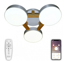 Потолочный светильник Natali Kovaltseva LED LAMPS 81327