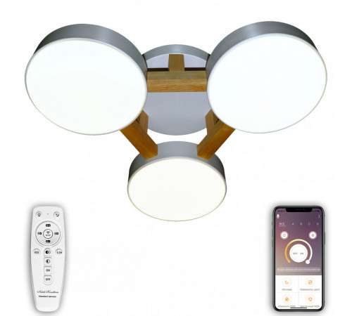 Потолочный светильник Natali Kovaltseva LED LAMPS 81327 Потолочный светильник Natali Kovaltseva LED LAMPS 81327