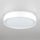 Потолочный светильник Citilux Boss CL751250G