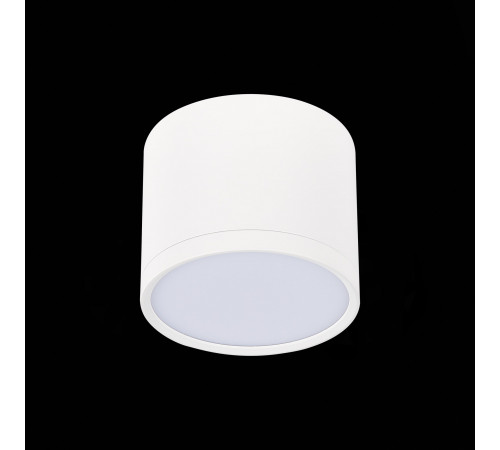 Потолочный светильник ST Luce Rene ST113.542.09 Потолочный светильник ST Luce Rene ST113.542.09