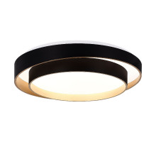 Потолочный светильник Evoluce Crosby SLE6009-402-01
