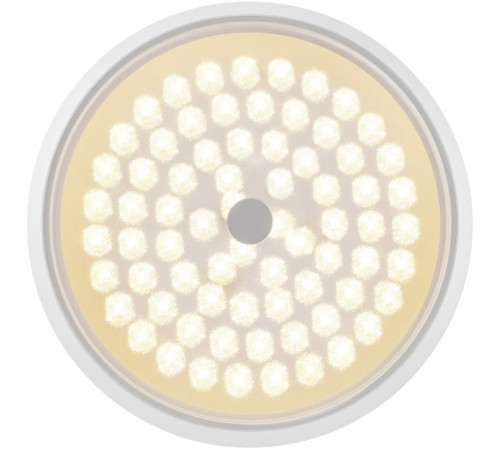 Потолочный светильник Freya Cells FR10012CL-L24W Потолочный светильник Freya Cells FR10012CL-L24W