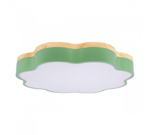 Потолочный светильник Loft IT Axel 10225/36 Green