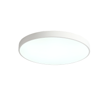 Потолочный светильник Zortes Tortty ZRS.02564.120