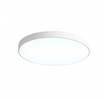 Потолочный светильник Zortes Tortty ZRS.02564.120