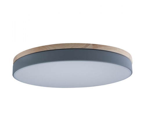 Потолочный светильник Loft IT AXEL 10001/36 Grey Потолочный светильник Loft IT AXEL 10001/36 Grey