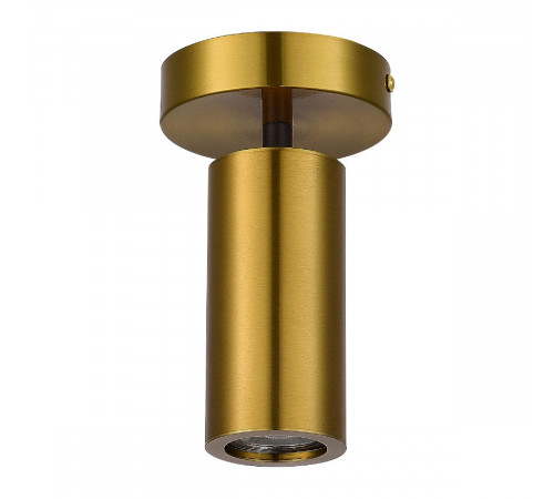 Потолочный светильник ST Luce Talia SL1215.402.01