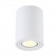 Потолочный светильник Crystal Lux CLT 410C1 WH