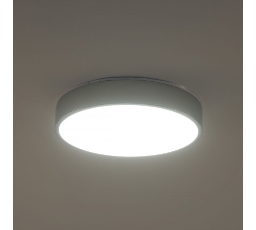 Потолочный светильник Zortes Tortty ZRS.02565.36 Потолочный светильник Zortes Tortty ZRS.02565.36