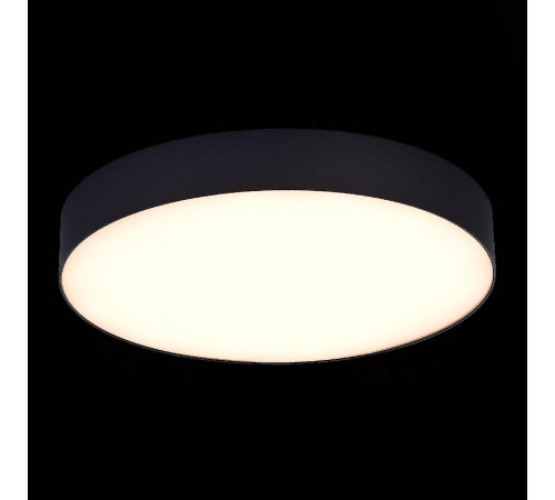 Потолочный светильник ST Luce ST606.432.48 Потолочный светильник ST Luce ST606.432.48