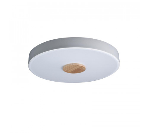 Потолочный светильник Loft IT AXEL 10003/24 White Потолочный светильник Loft IT AXEL 10003/24 White