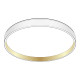 Потолочный светильник Citilux Enzo CL753450G