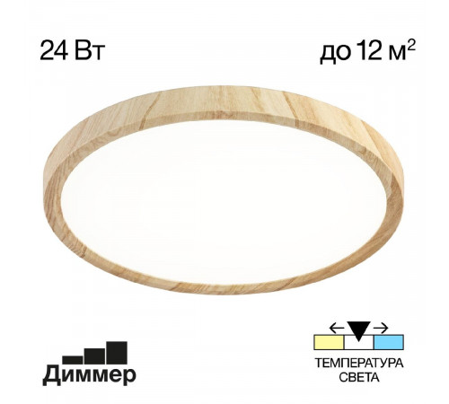 Потолочный светильник Citilux Бейсик CL738242V Потолочный светильник Citilux Бейсик CL738242V