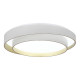 Потолочный светильник Evoluce Crosby SLE6009-502-01