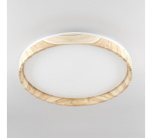 Потолочный светильник Citilux Enzo CL753452G