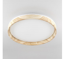 Потолочный светильник Citilux Enzo CL753452G