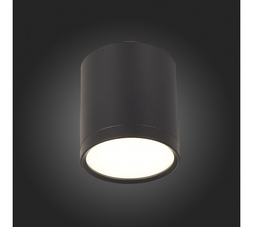 Потолочный светильник ST Luce Rene ST113.442.05 Потолочный светильник ST Luce Rene ST113.442.05