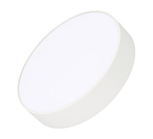Потолочный светильник Arlight IM-RONDO-EMERGENCY-3H-R250-33W Day4000 (WH, 120 deg, 230V) 041061