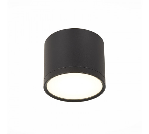 Потолочный светильник ST Luce Rene ST113.442.09 Потолочный светильник ST Luce Rene ST113.442.09