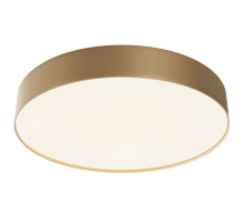 Потолочный светодиодный светильник Maytoni Technical Ceiling Zon C032CL-45W4K-RD-MG