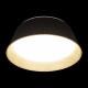 Потолочный светильник Loft IT Evans 10224 Black